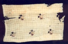 Fabric, Cloth (fragment)